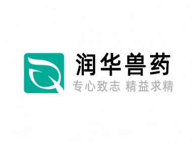 关于j9国际集团